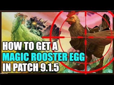 Magic rooster egg
